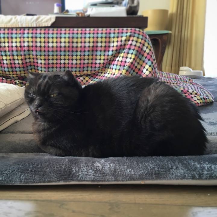 7103b2be 4514 4b3f 8400 73c75e6940d0 1547956985277