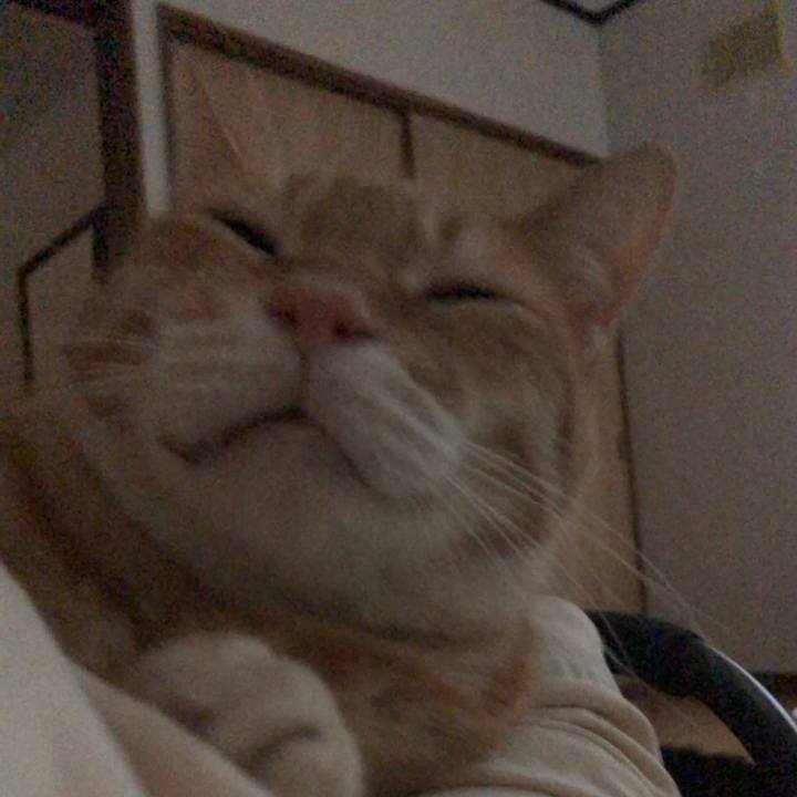 7103cbff e1a4 4a13 9ad7 1cf327ad488f 1724617927184