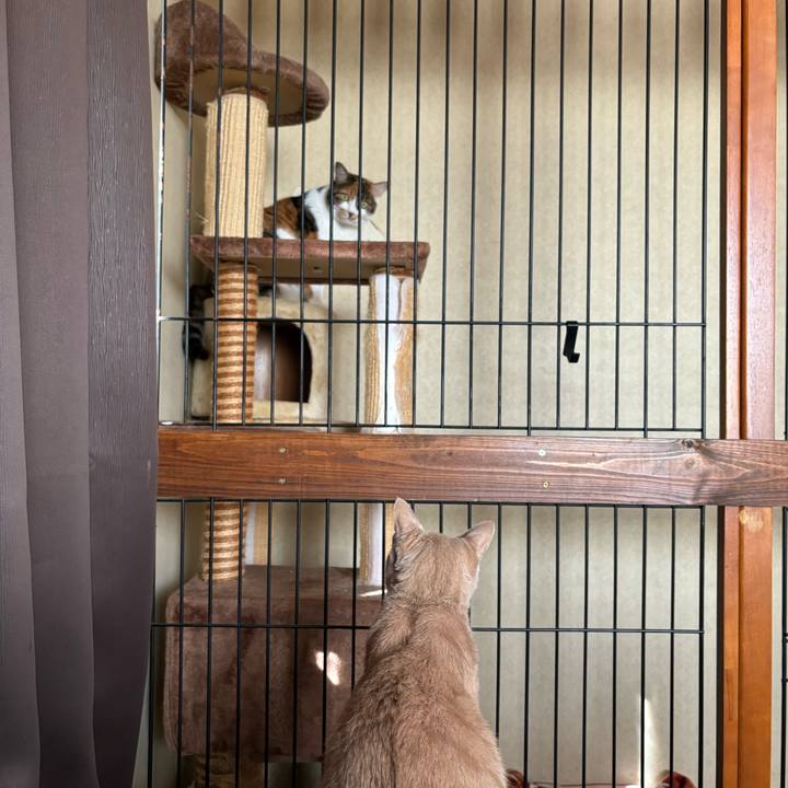 7103d17d 844e 4ea6 b2ec e6749e710be6 1728868710071