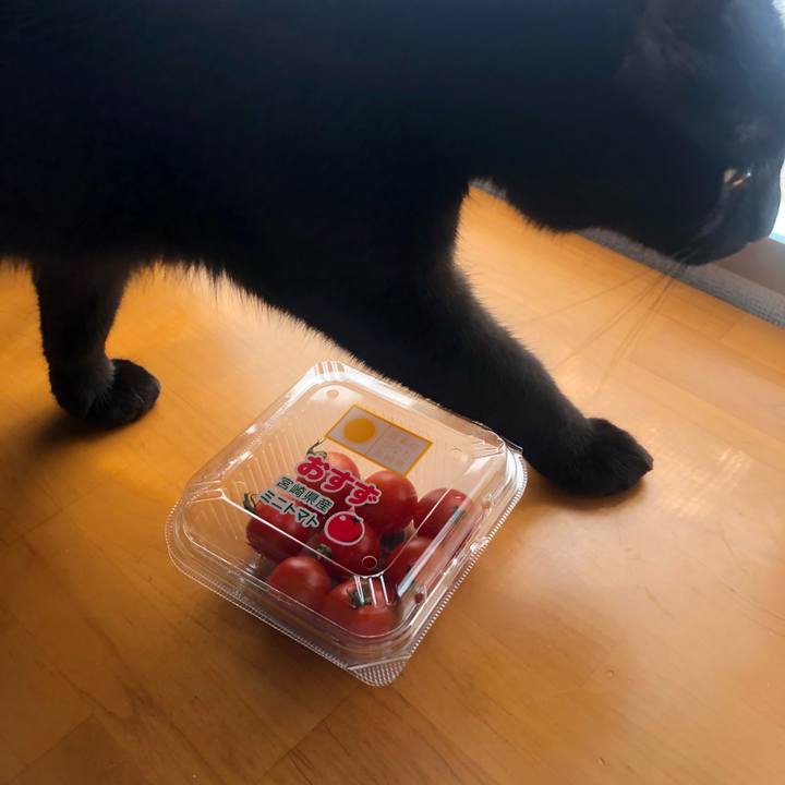 7103fa81 7d5f 4560 8dc0 ea00902e3c71 1619657713367