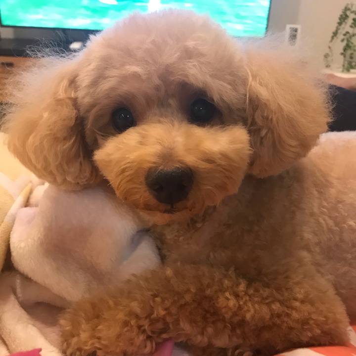 71040fc6 0537 46b0 b9de 6294a1732a90 1577710937156