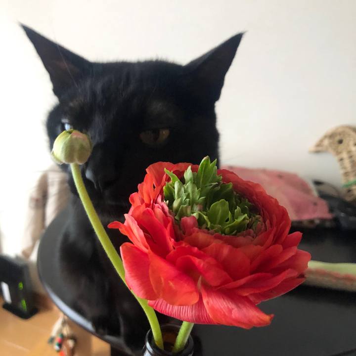 71042004 6436 4f27 9b88 be2e252e2e11 1582151340086