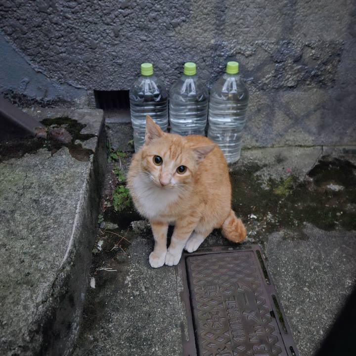 71044916 e589 47e8 be99 13bbeb77dde1 1717106125930