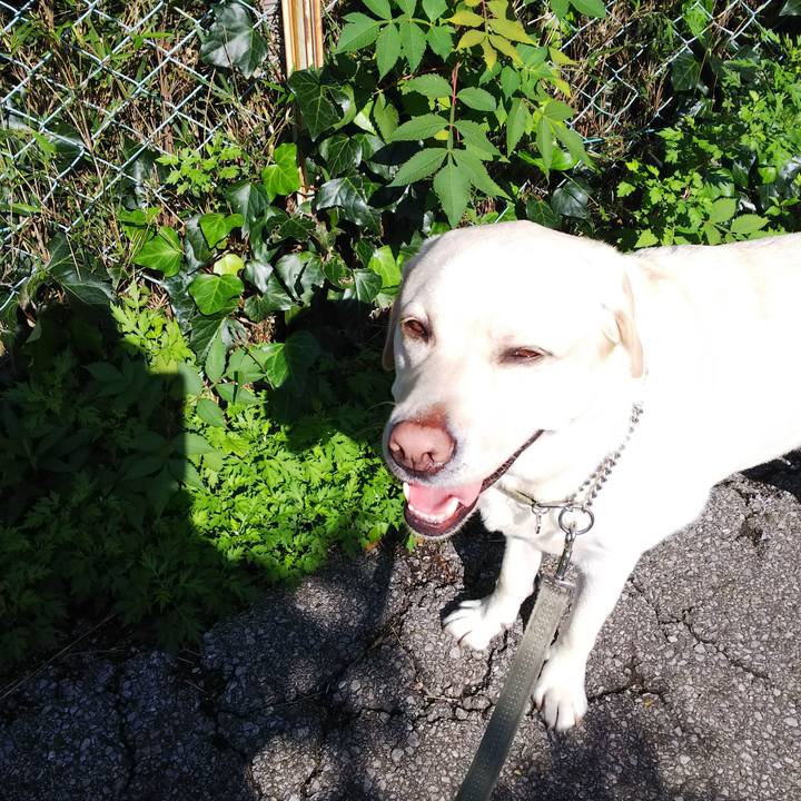 71047ad2 0347 4b16 bd4b a80620d2f55a 1572401347720