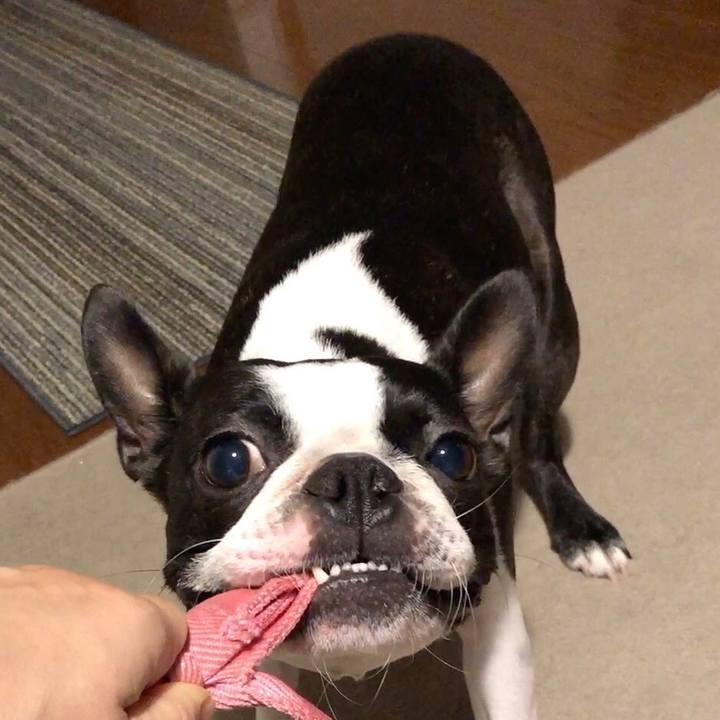 710486ee 2750 4f60 81c8 d60e8ee62856 1595552083297