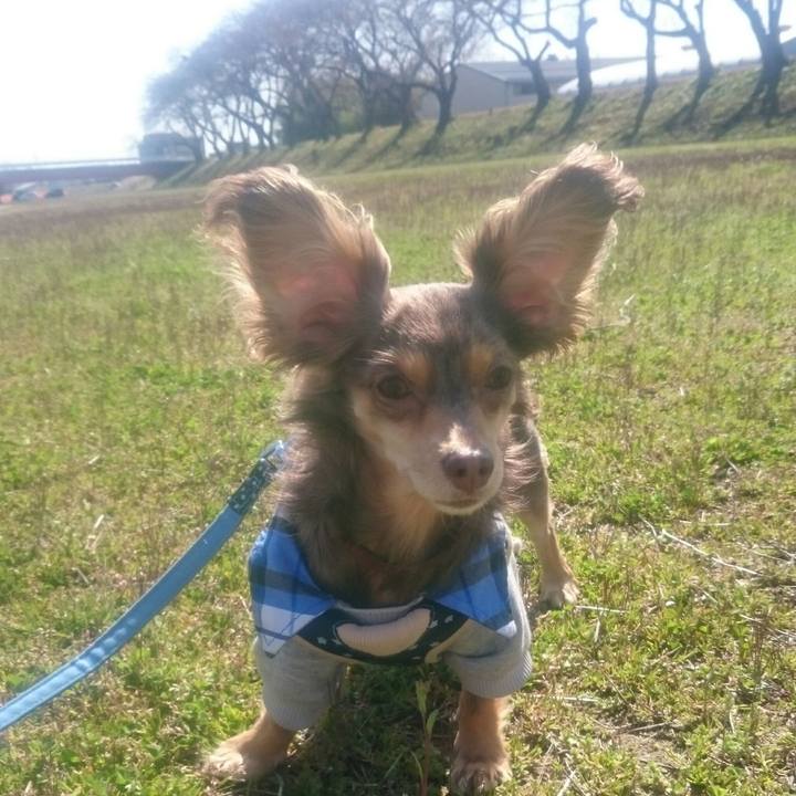 7104f52d add0 44c1 9ec0 4e662a10166b 1521854061188