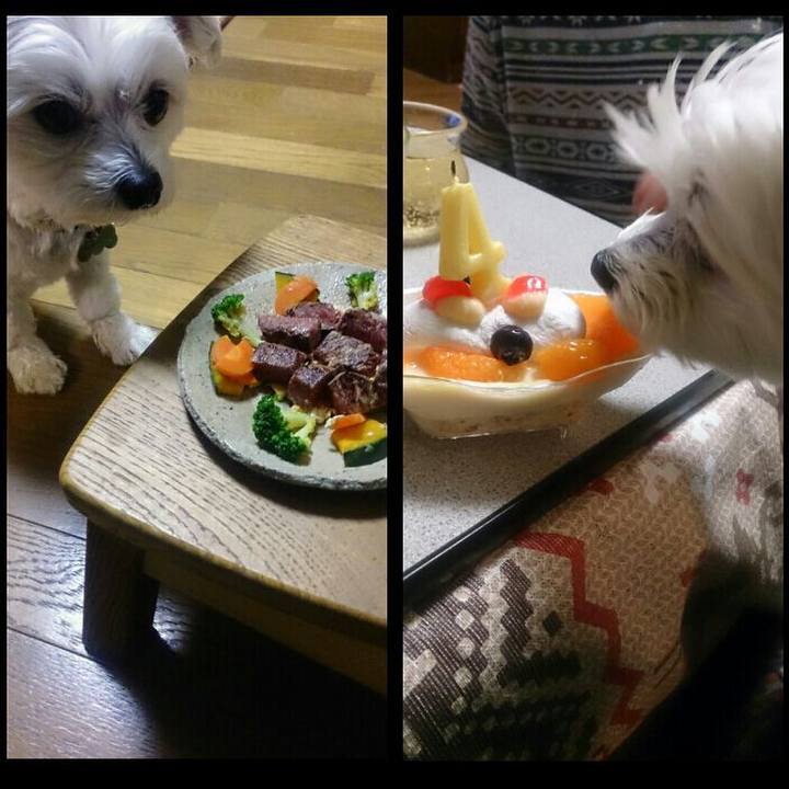 7105246b 9f26 4797 a6de 40bc773a16f9 1521891253428