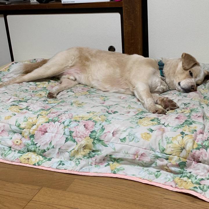 71052eba 5ab2 47bb 96e7 1c4efb97fb7a 1555510813089