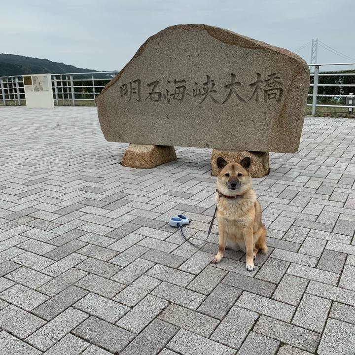 71053325 91dc 4497 9191 4920e15dd3cb 1538786238947