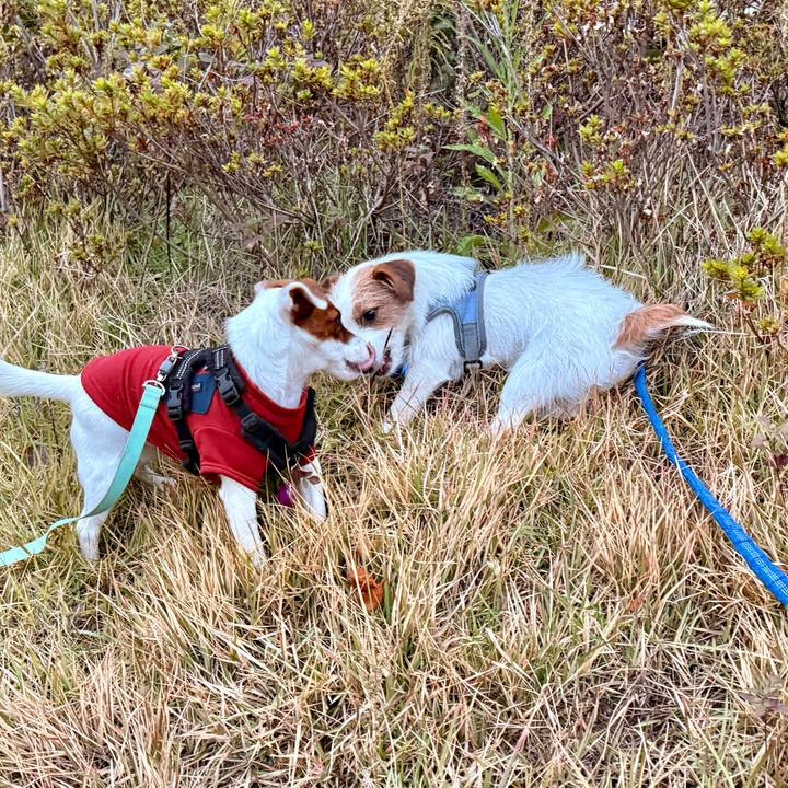 710580d6 eeb0 46b1 b5c4 acffa3aeb155 1764808924671