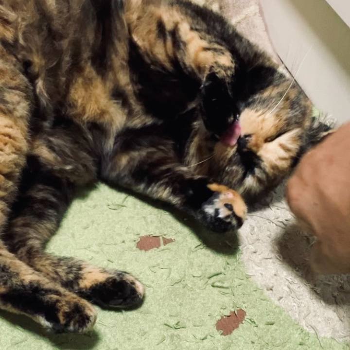 71059a96 01be 4fae 9d11 6bf6de8ac47a 1729848453913