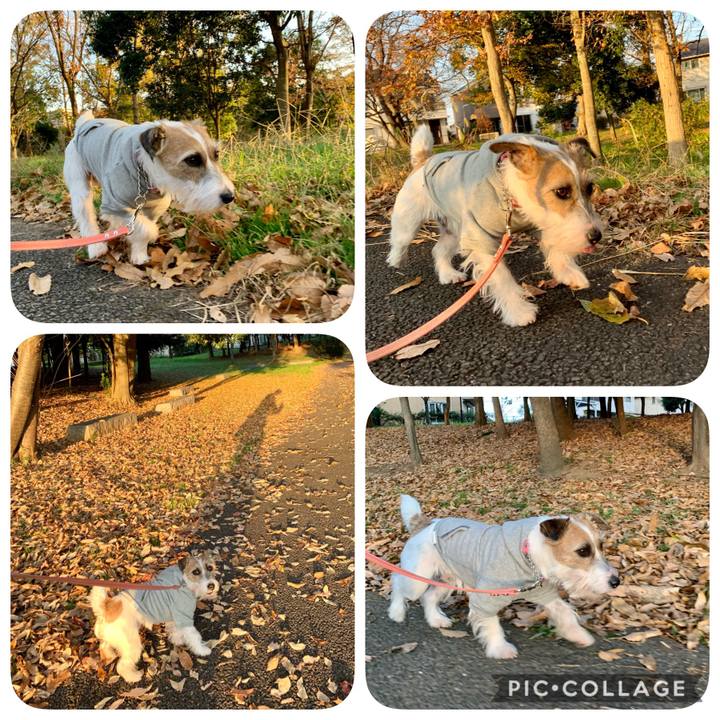 71059fe8 8058 4b54 895b 887e58242aa3 1606726056533