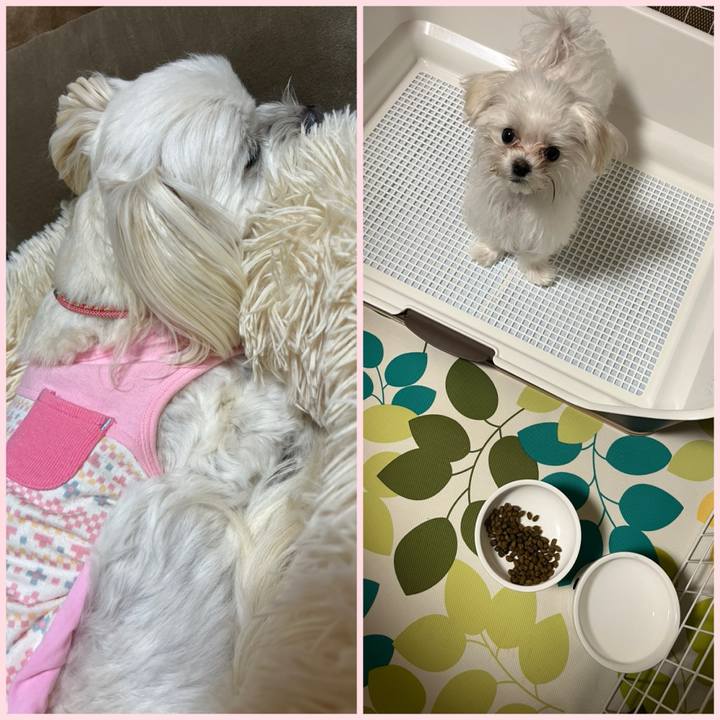 7105d0c4 8dc0 444b b954 ed58bea7050d 1705922534567