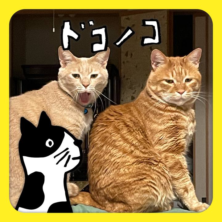 71061946 542c 4866 8f88 c27b673dd4fb 1622870654153