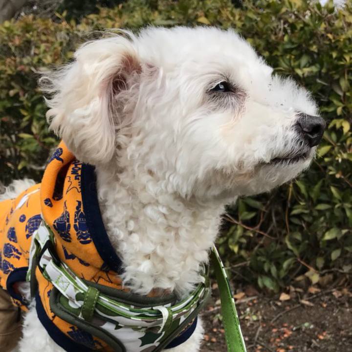 71062491 c270 4461 aaf9 d03cff1a1761 1516375202375