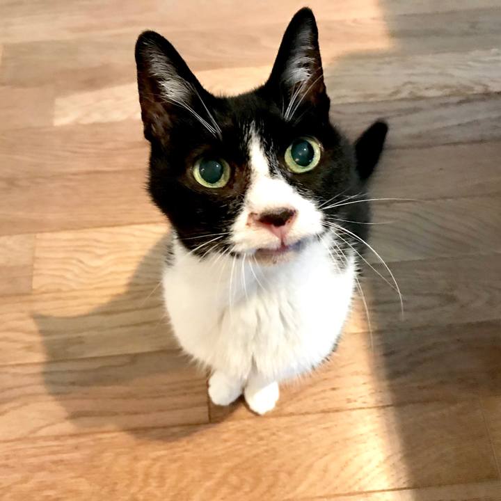 71062c3d 92f8 4fb8 96e6 812db06ab4b6 1561943512832