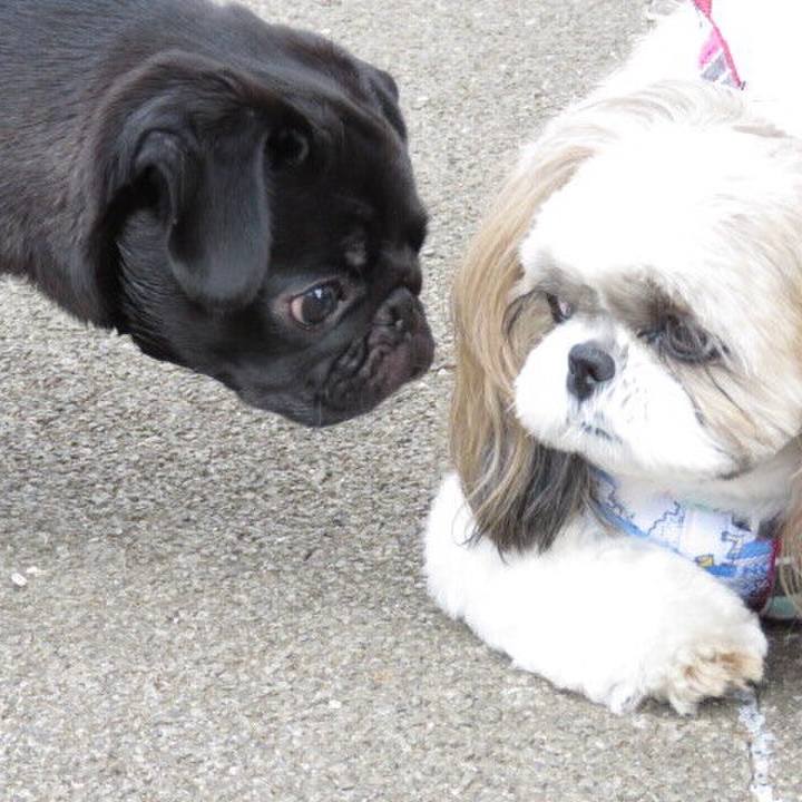 71063728 ab75 4f5b bf14 70629173a038 1600934788472