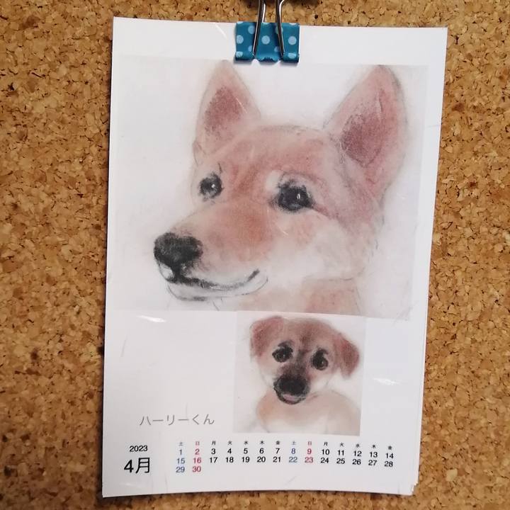 71064e3a 42fc 4e88 a999 af813fa5f677 1681280919965