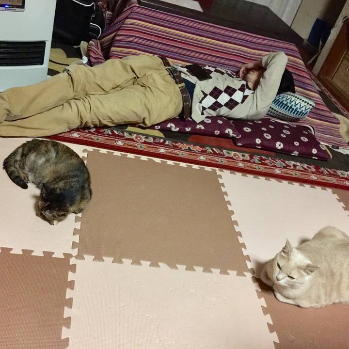 71064f6d 44f9 4343 aec0 e5b76b788bcb 1574166891779