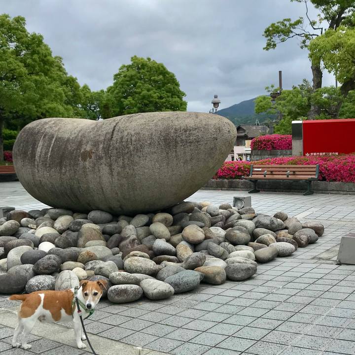 71066183 ea6e 44bc b0aa 6cb08224a48d 1526990292635