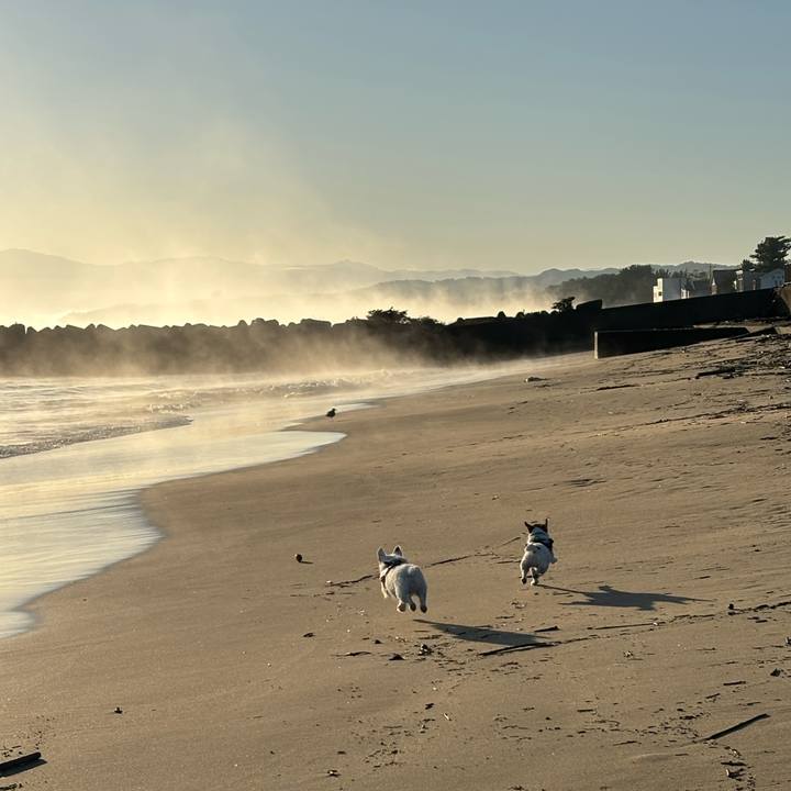 71067a4d 11da 49c0 b0e6 dfabf32d2b44 1762212286049