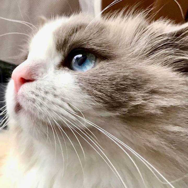 71067c94 08af 4ab8 ab03 81d7012b57a3 1625307637921