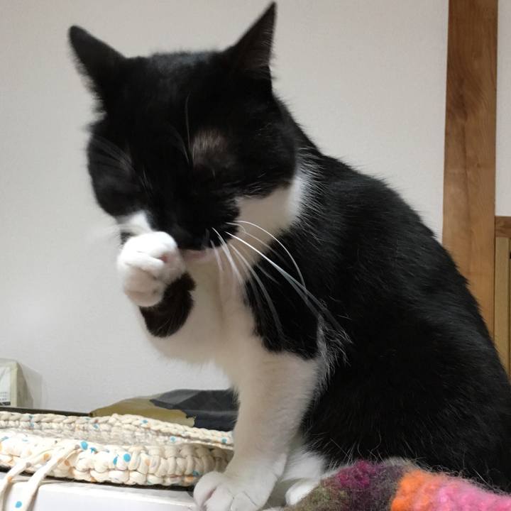 7106b4af 9f45 474f ad1a f22d10bfabbd 1556903144920