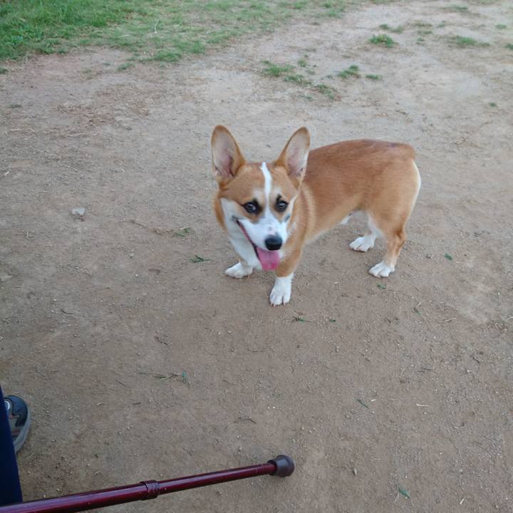 7106d937 315d 4d27 b0f8 8c0e9f6dd499 1566886732852