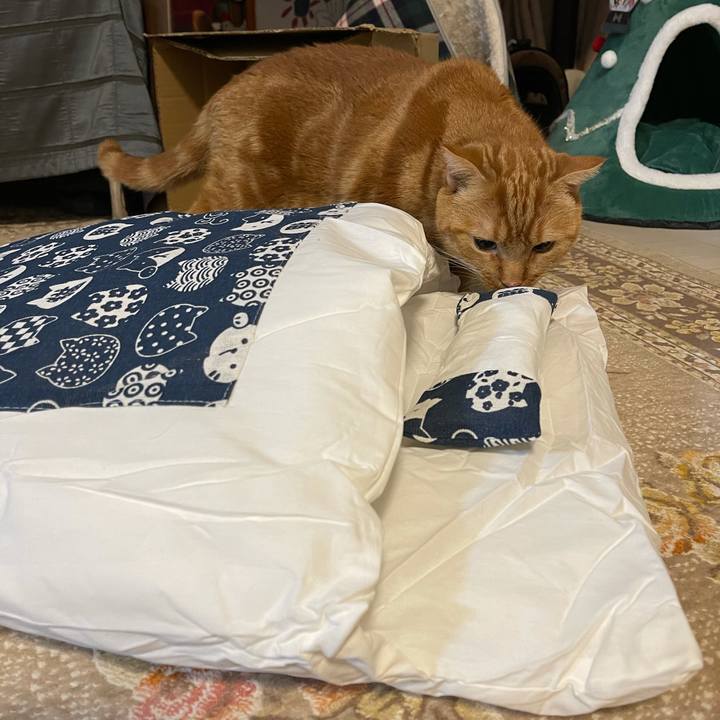 7106e25c 615e 41ee 840d 573cfeea94a3 1618135900009