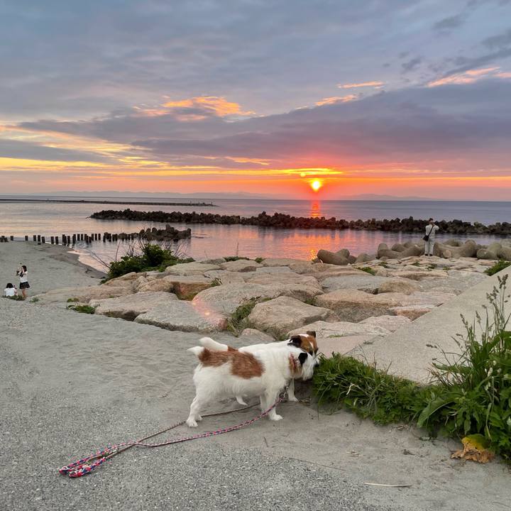 7106f5b8 d655 455b 9682 999b39fd3a12 1748605414292