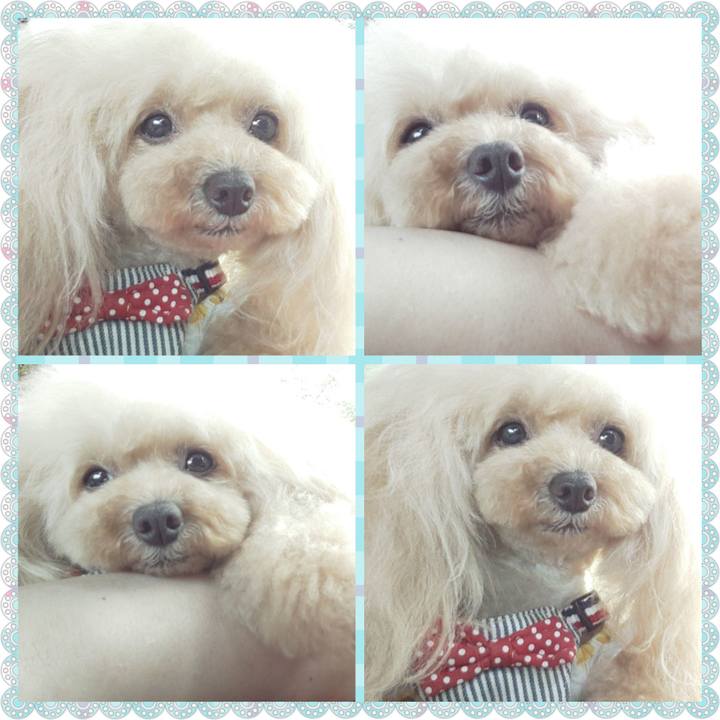 71072046 69a5 4982 a8e4 df4800a2874a 1658376400008