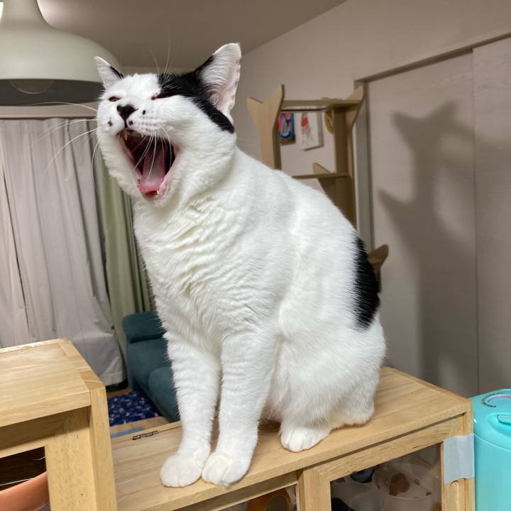 7107483b 966d 448c 8834 817d5980f2d6 1759694013621