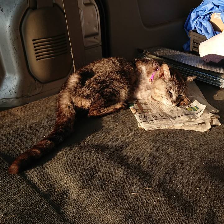 7107914f 88c9 494b 8fde c521c3a4a5e3 1598476335034