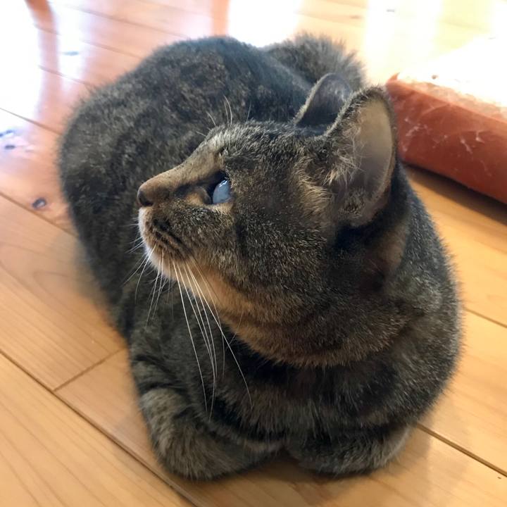 7107af00 d759 4a71 913d 3575b2666624 1569546858208