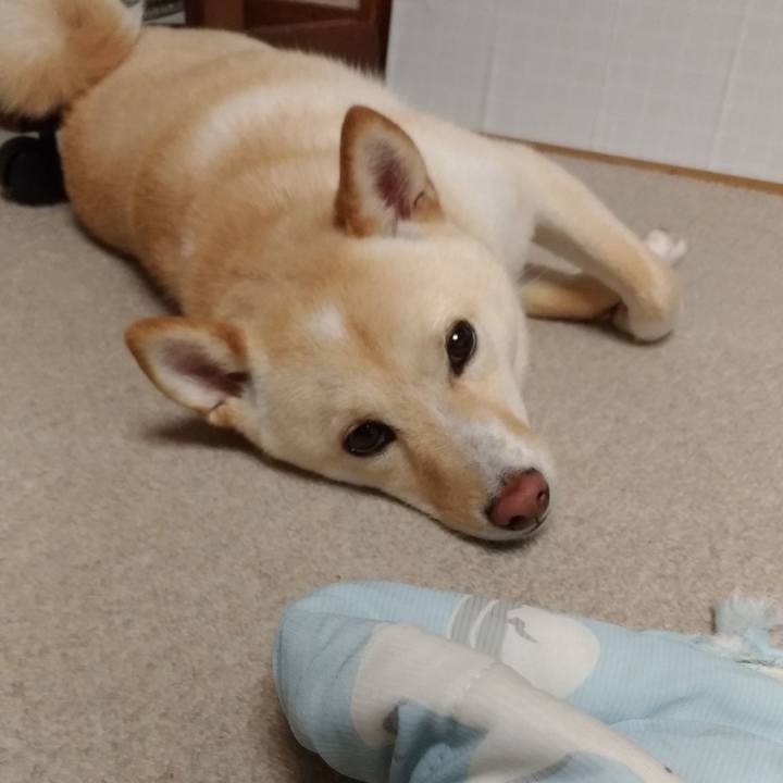 7107afe8 c834 4ed9 b402 5352268cbfa9 1529538770855