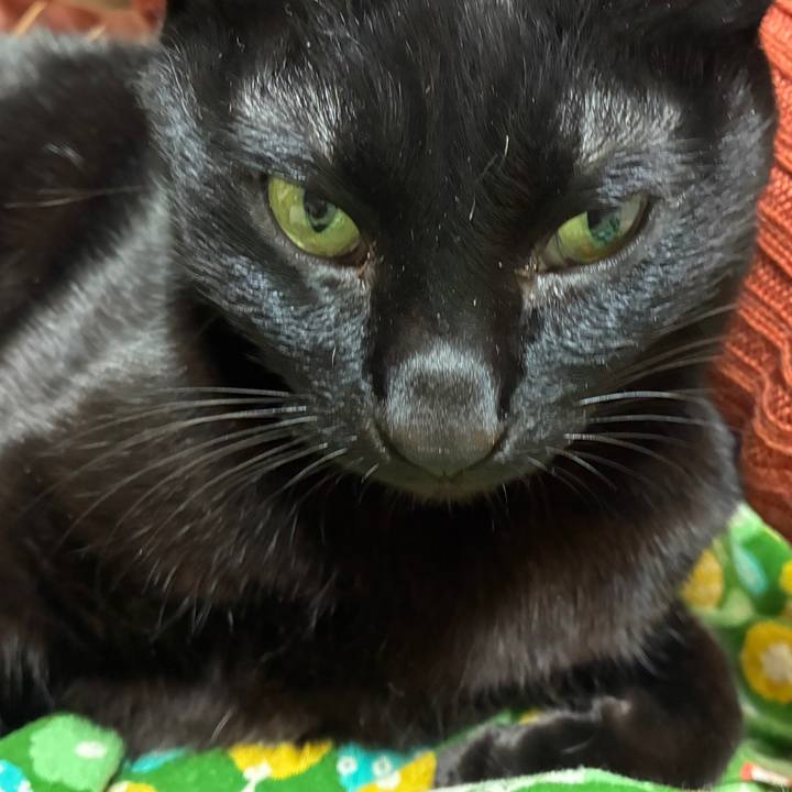 7107b637 4722 4f08 8538 76044337ebaa 1768728649375