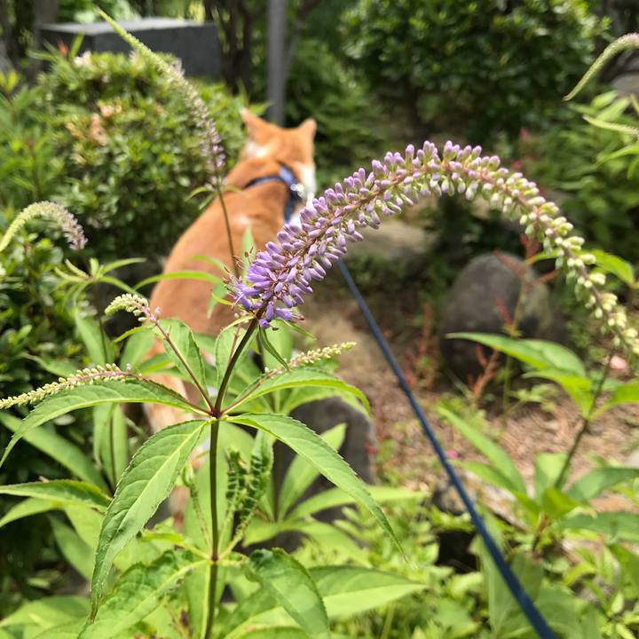 7107badf 3126 4f1b bd71 05b6f773523d 1528539116559