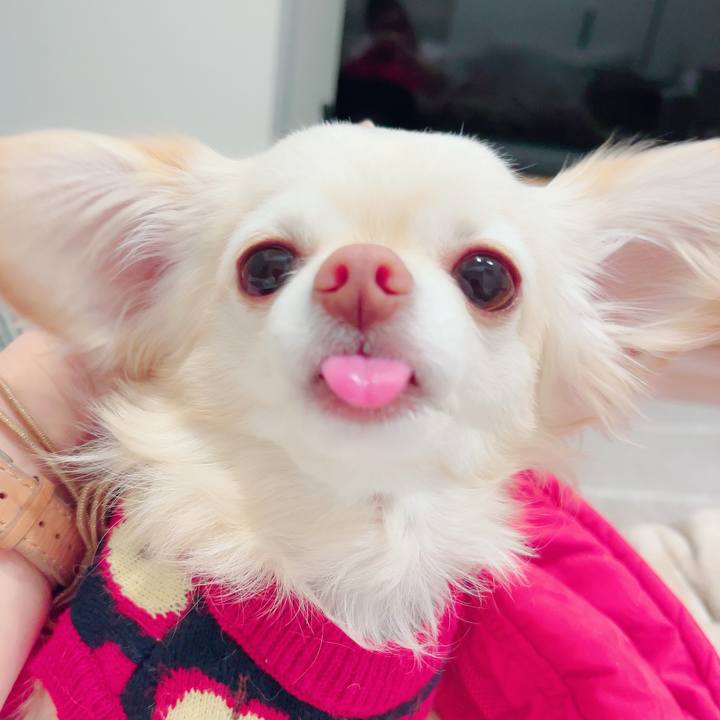 7107cf6c 19fe 48de 83fa d7affb523561 1703075918125