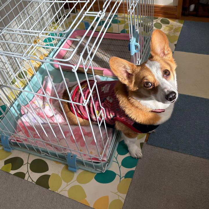 71080609 ba8c 436a bfd6 027380c28105 1762747860569