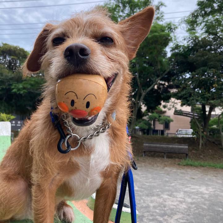 71080773 517c 4278 bd62 b50cdcb89d07 1628332398648