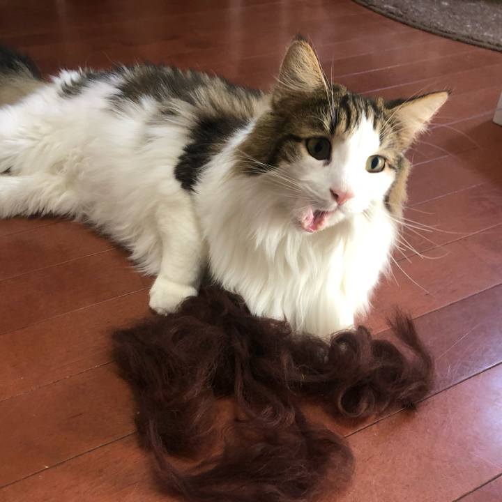 71080e35 82d8 4e32 badf 0cb1847c1e35 1575078118138