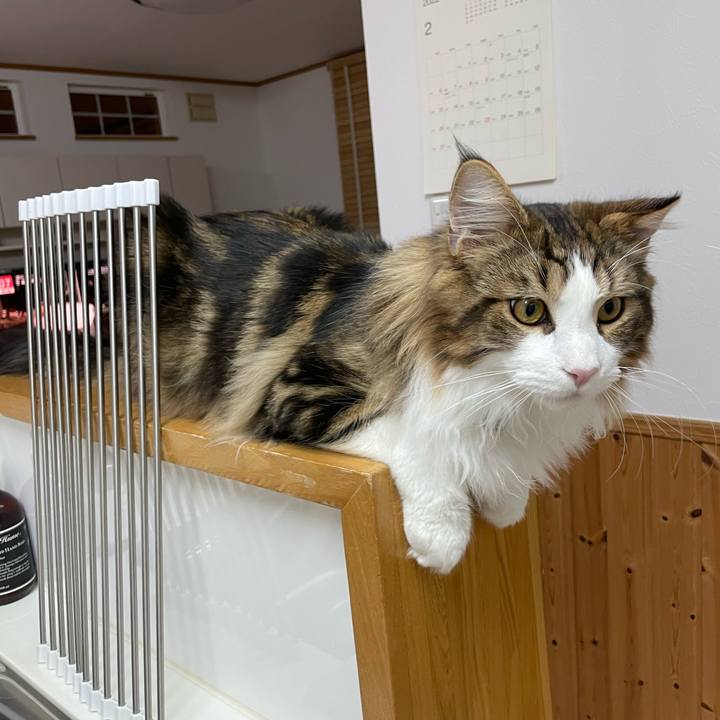 71081168 6036 4d54 bc6f c6527bb5bbf6 1643919839376