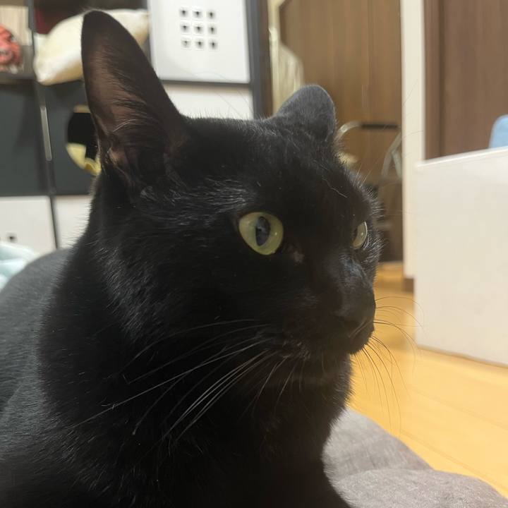 710866ed a7bf 4e10 86a0 6c9f334acd0f 1693662468446