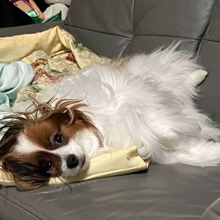 7108b498 b465 4fa0 930b ecc6244fab76 1695100279927