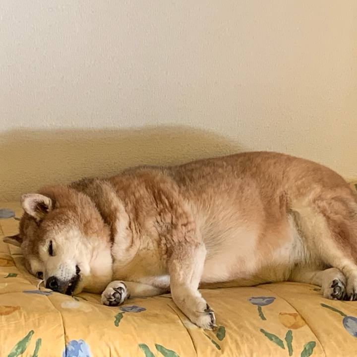 7108baa9 bc9d 4908 aafb 06b188dfbbe4 1608710140102