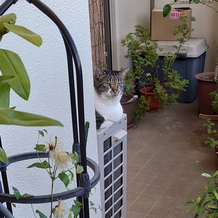 7108bd85 ec83 40b0 b647 41a6230a0168 1629504081429