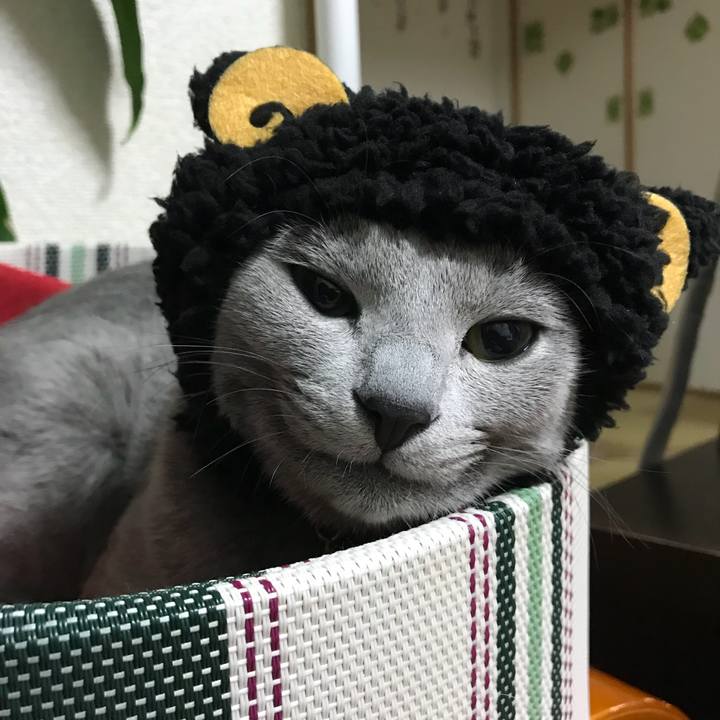 7108d48a f4ab 4138 b81b 0f61b52989fc 1517138322720