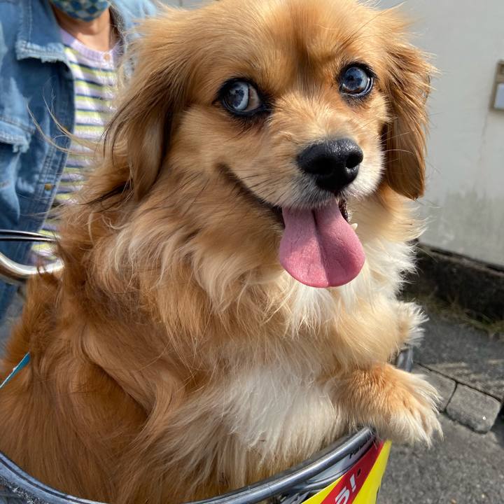 7108f9c8 21be 4145 acd9 d5084e0e861b 1588465554898