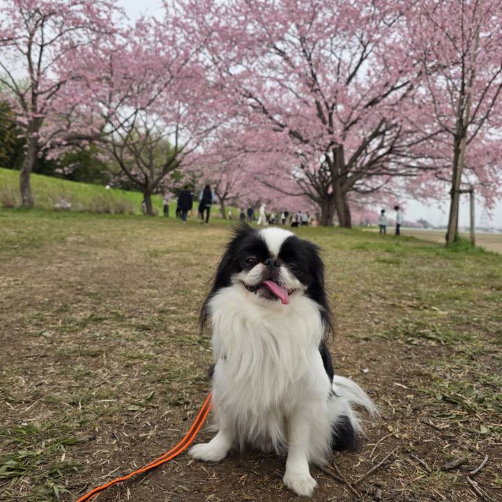 710925dd ca37 44d3 b9c5 490827c84ac3 1742884734773