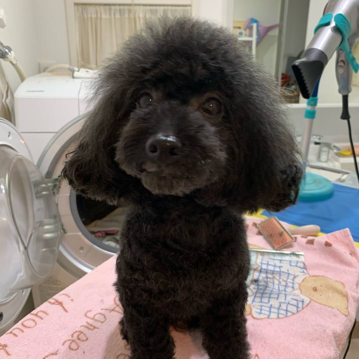 7109302e 2848 4afc 8d42 9cd5e7098c27 1605439740659